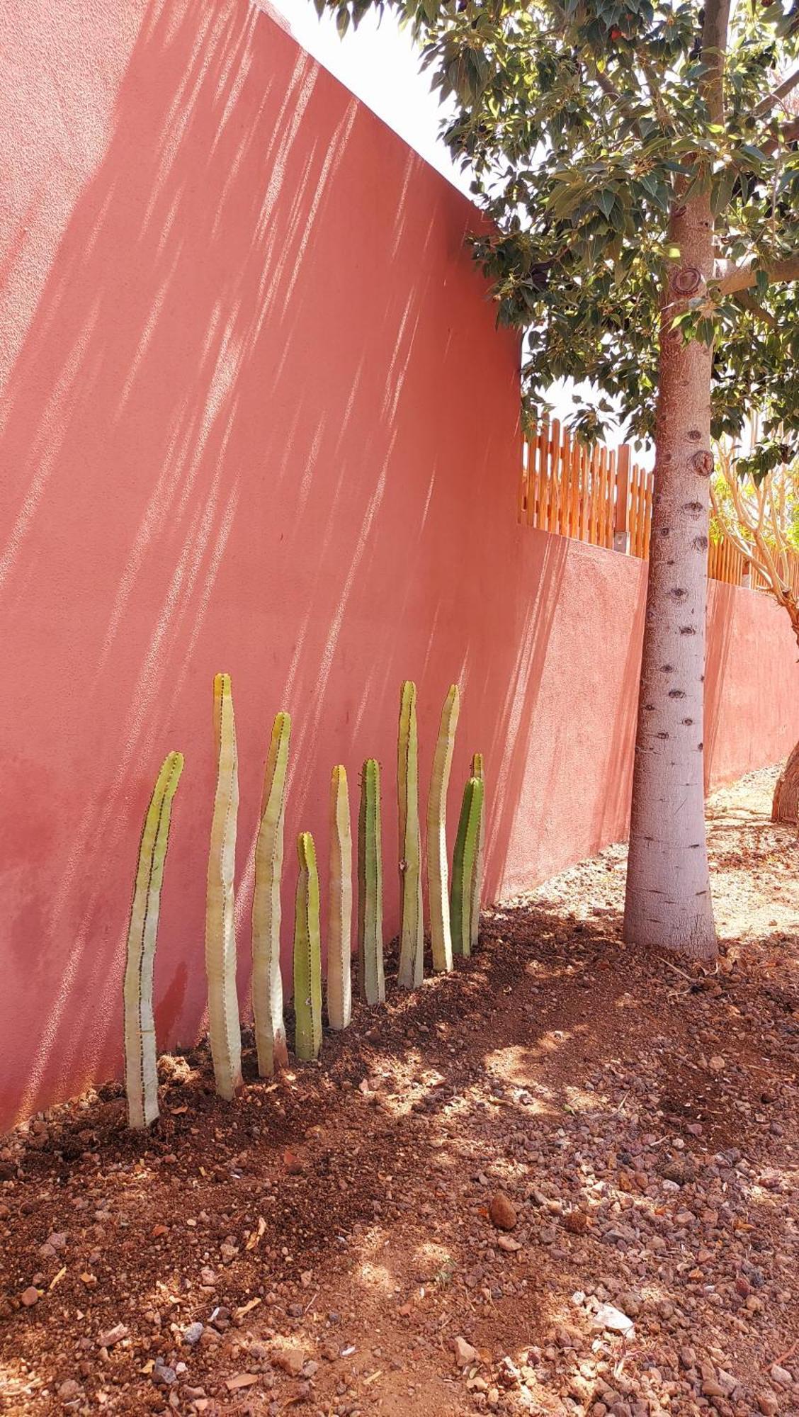 Adosado La Tabaiba Villa San Miguel de Abona Luaran gambar
